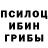 Псилоцибиновые грибы Psilocybe Forest_gt