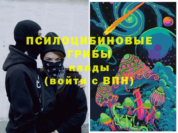мдпв Красноперекопск