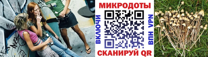 Псилоцибиновые грибы MAGIC MUSHROOMS  Юрьевец 